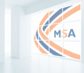 1.MSA-profile-with-background